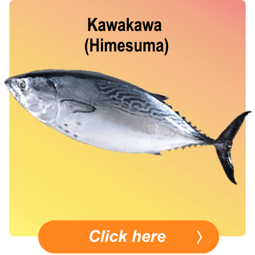 Kawakawa (Himesuma)