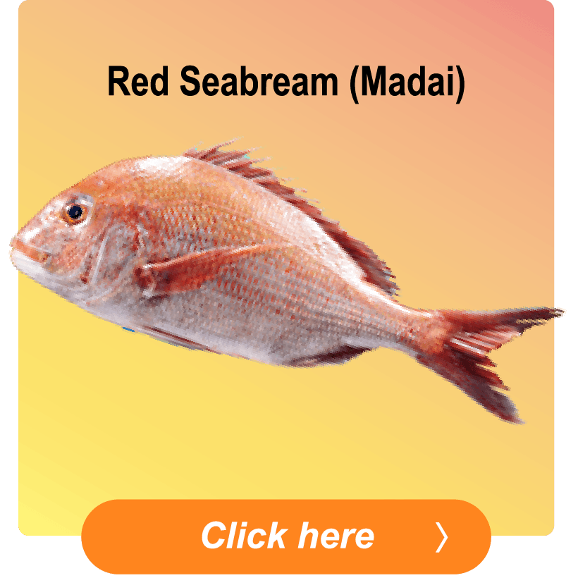 Red Seabream (Madai)