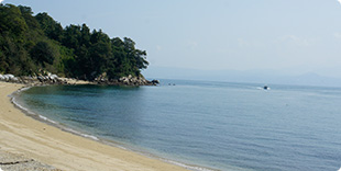 安居島ビーチの写真