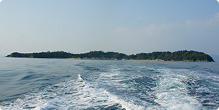 安居島全景の写真