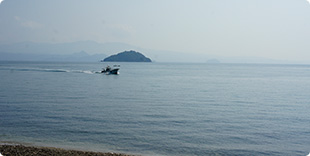 安居島ビーチの写真