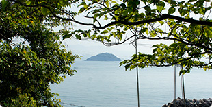 姫坂神社から見える小安居島の写真