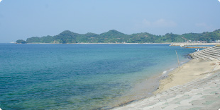 Photo of Washigasu beach