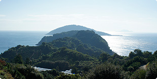 image5:Gogoshima Island view points