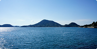 興居島全景の写真