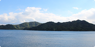 image1:Muzukijima view points