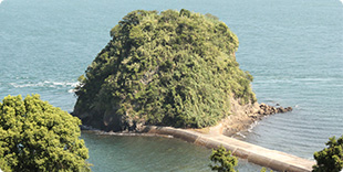 梅の子島（梅の子城跡）の写真