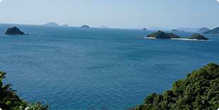 スカイライン 八十八ヶ所ルートから見る小島の写真
