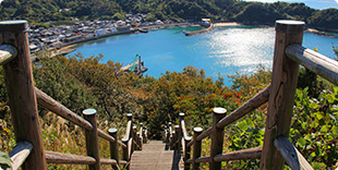 image2:Scenic spots on Nogutsunajima Island