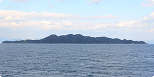 野忽那島全景の写真