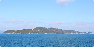 怒和島全景の写真