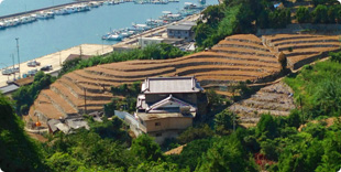 image3:Tsuwajijima Island view points