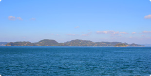 怒和島全景の写真