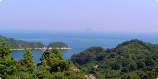 旗山頂上付近から眺める島の西側の写真
