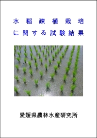 水稲粗植栽培に関する試験結果