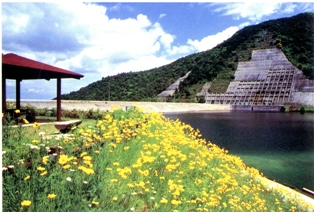 朝倉ダムの夏の画像