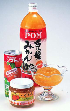 Ehime's major product, The Pon Juice