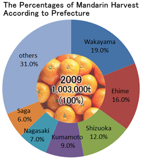 The Percentages of Mandarin Harvest According to Prefecture