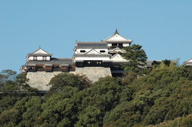Matsuyama Castle is the Symbol of Matsuyama in central area