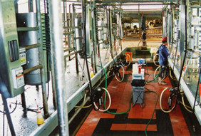 ミルキングパーラー（搾乳施設）の画像