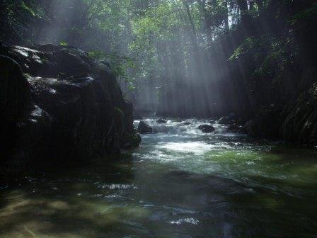 奥道後玉川県立自然公園の画像