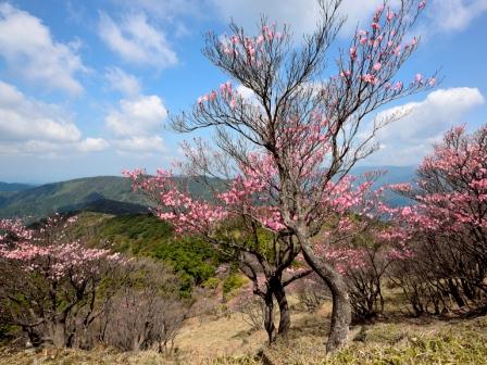 篠山県立自然公園の画像