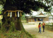 延命寺休憩所の画像