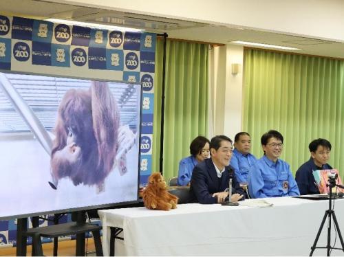 12月22日(月曜日)オランウータン「ジェニファー」お迎えセレモニー(県立とべ動物園)