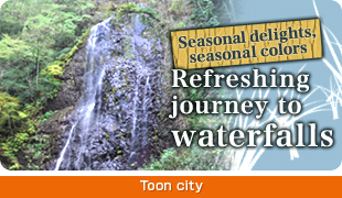 Refreshing journey to waterfallsSeasonal delights, seasonal colo