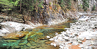 面河渓の画像