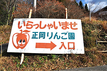 image:Masaoka Tourist Apple Orchard