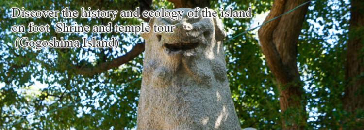 Discover the history and ecology of the island on foot  Shrine and temple tour
