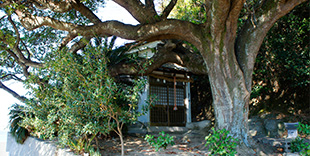 Tenzaisho Shrine  Kitaura, Yura, Matsuyama