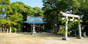 厳島神社（いつくしまじんじゃ）の画像