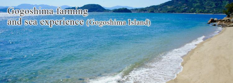 Gogoshima farming and sea experience (Gogoshima Island)