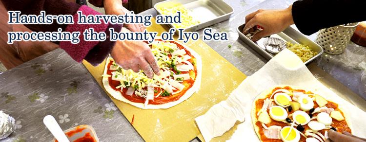 image1:Hands-on harvesting and processing the bounty of Iyo Sea