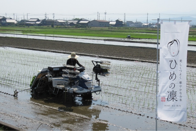 JAタウン（JA全農えひめ直販ショップ）