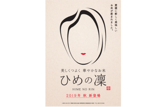 紹介チラシ「2019年 秋 新登場」