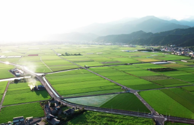 愛媛のお米「ひめの凜」紹介動画