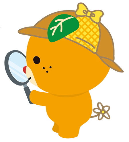 文化財って面白い!