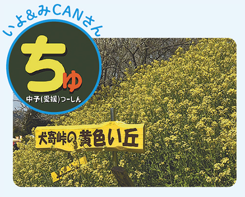 犬寄峠の黄色い丘（伊予市）