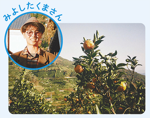 狩浜の段々畑（西予市）