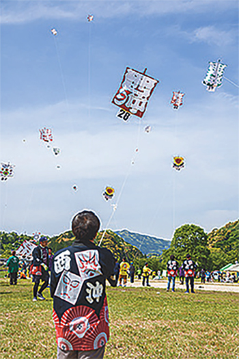 無数の凧が空に舞う「いかざき大凧合戦」
