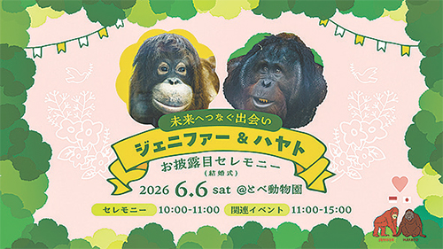 ジェニファー＆ハヤトお披露目セレモニー
