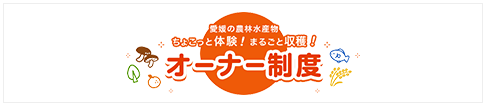 オーナー制度　愛媛の農林水産物 ちょこっと体験！まるごと収穫！