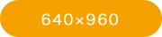 1440×2560