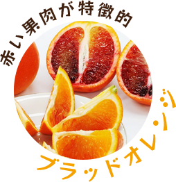 赤い果肉が特徴的 ブラッドオレンジ