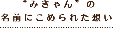 “みきゃん”の名前にこめられた想い