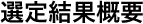 選定結果概要