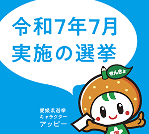 愛媛県議会議員補欠選挙